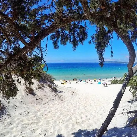 Piso Azul Espero Reial * Αλγκέρο