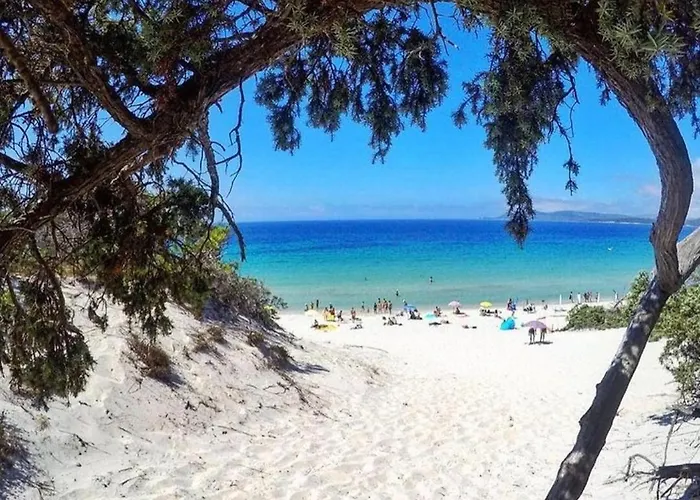 Piso Azul Espero Reial * Alghero